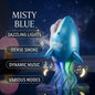 Musical Dancing Shark Toy with Mist Spray &amp; Lights